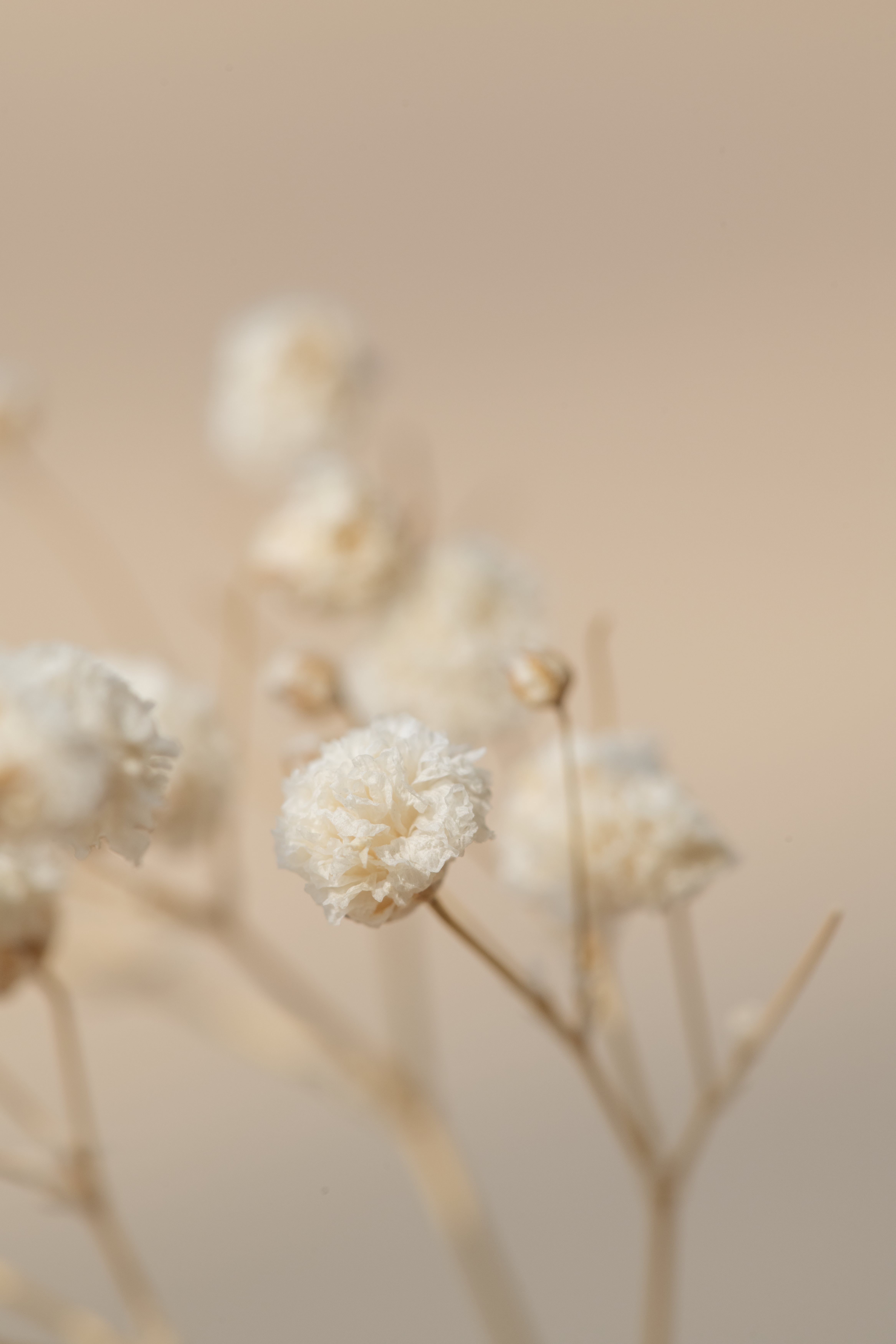 Portfolio piece photo